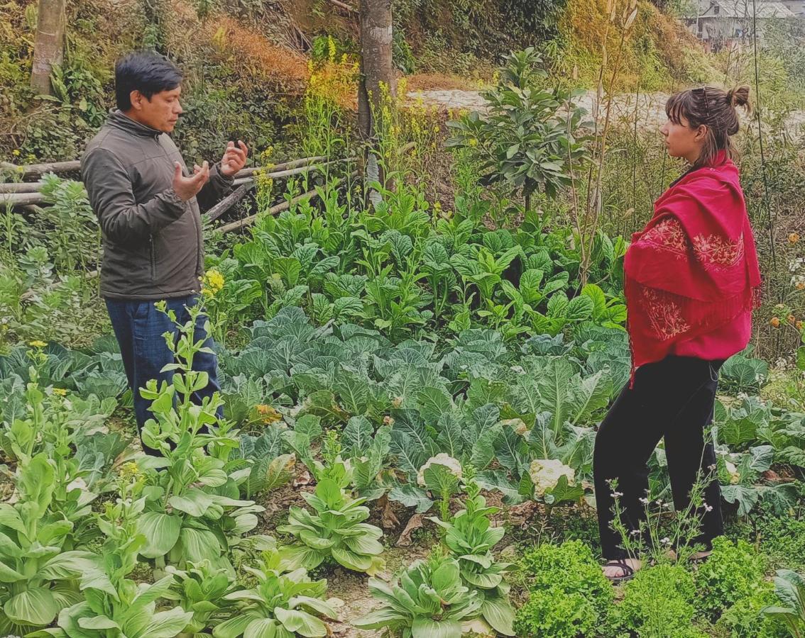 Patlekhet Eco Farmhouse Dhulikhel Eksteriør billede