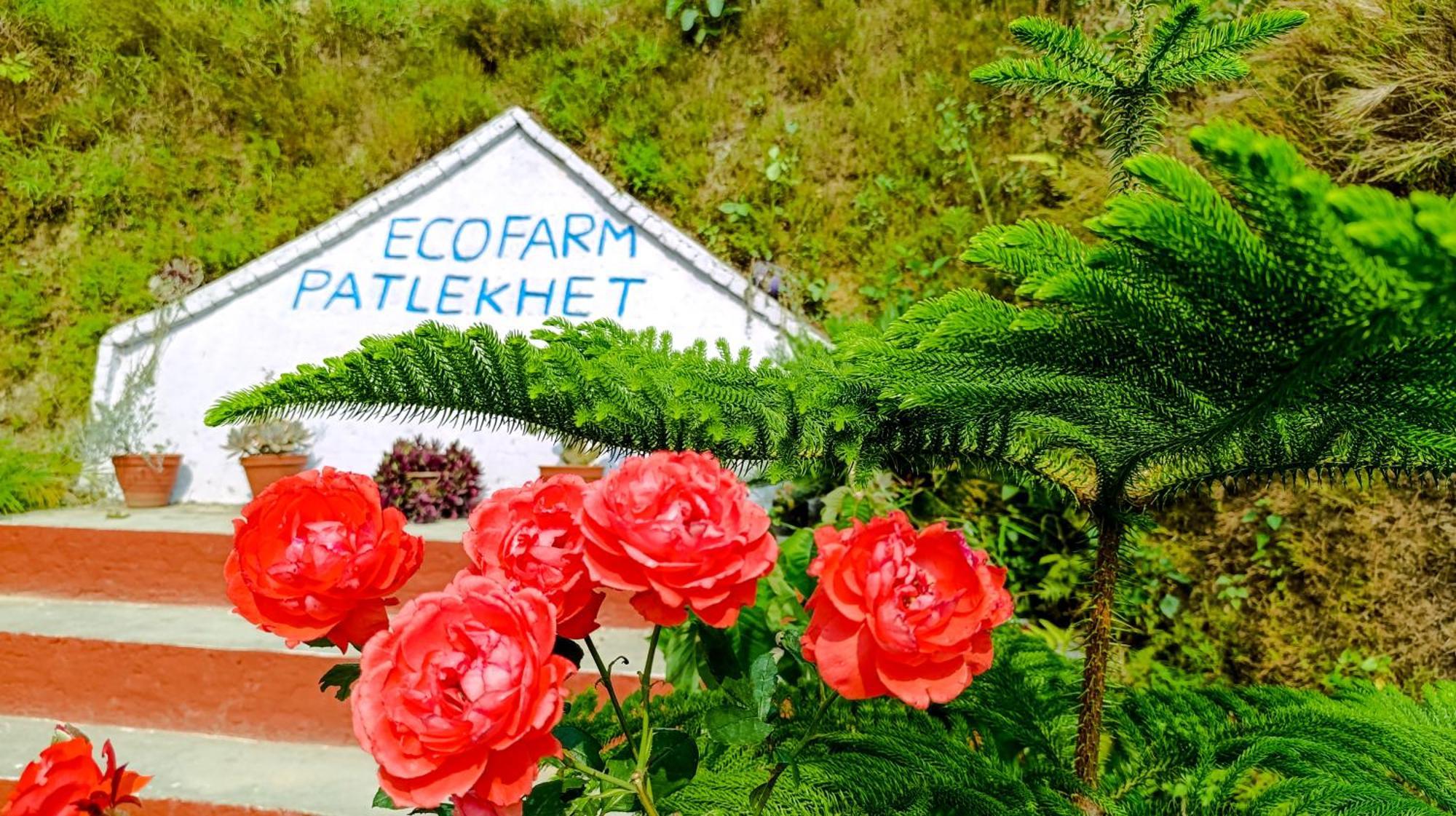 Patlekhet Eco Farmhouse Dhulikhel Eksteriør billede